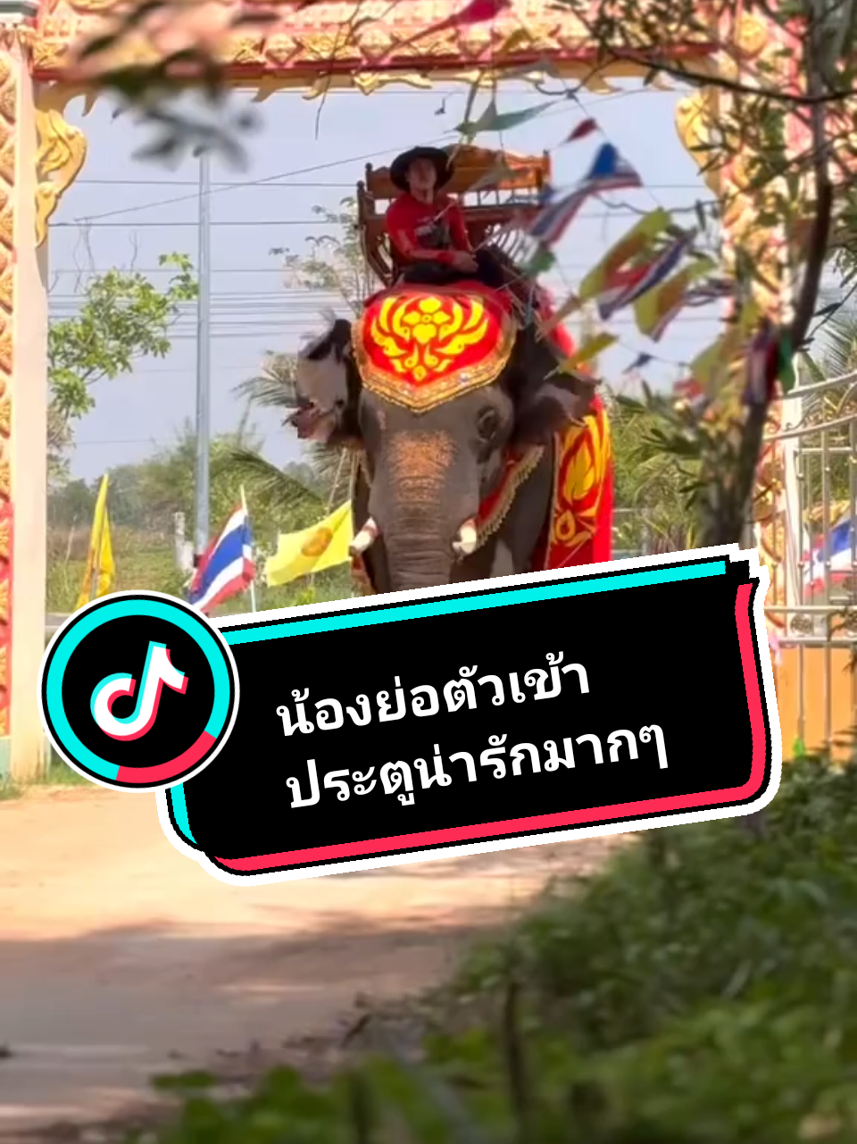 #ผมชอบน้องเก่งมากๆเลยย่อตัวลงเพื่อให้ผ่านประตูไปอย่างสวยงาม#😁😁 #ขึ้นฟีตเถอะ #อย่าปิดการมองเห็นหนู 