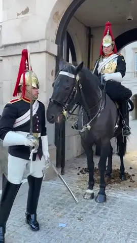 Don’t touch the Reins #respect #royalguards #horse #History #tourist #highlights #horseguardparade 
