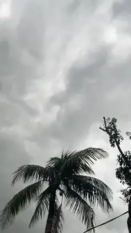 বৃষ্টি আসার আগ মূহুর্ত ভয়ংকর সুন্দর..!😌☘️🌧️#foryou #foryoupage #fypシ #viralvideo #copylink #wether #trending #unfrezzmyaccount #fyppppppppppppppppppppppp #bdtiktokofficial @TikTok @TikTok Bangladesh @Creator Portal Bangla 
