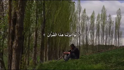 #المنشاوي #quran #قران_كريم #explore 