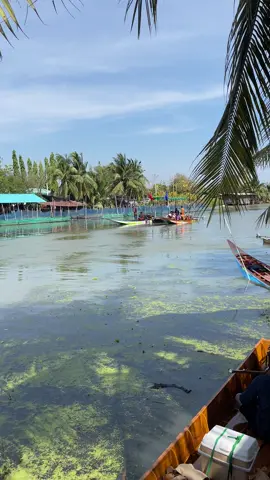 แข่งขันเรือดีเซล ช่างเบิร์ด vs ช่างเอก  ช่างเบิร์ดเข้าเส้น สนามดอนราว#มิตรลำไย🇹🇭 #ที่นี่ประเทศไทย #ที่นี่บ้านแพ้ว #บ้านแพ้วดินแดนเรือซิ่ง #เรือซิ่ง 