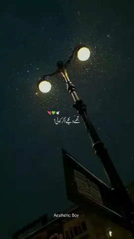 Tujhay Dakhay Agar Koi To Dil Yea Seha Nhe Pata😩🎧👀🥀💚||Repost request||❤️‍🩹 #fyp #foryou #foryoupage #aesthetic #lyrics #vibess #trending #trendingsong #standwithkashmir #views #whatsappstatus @TikTok 