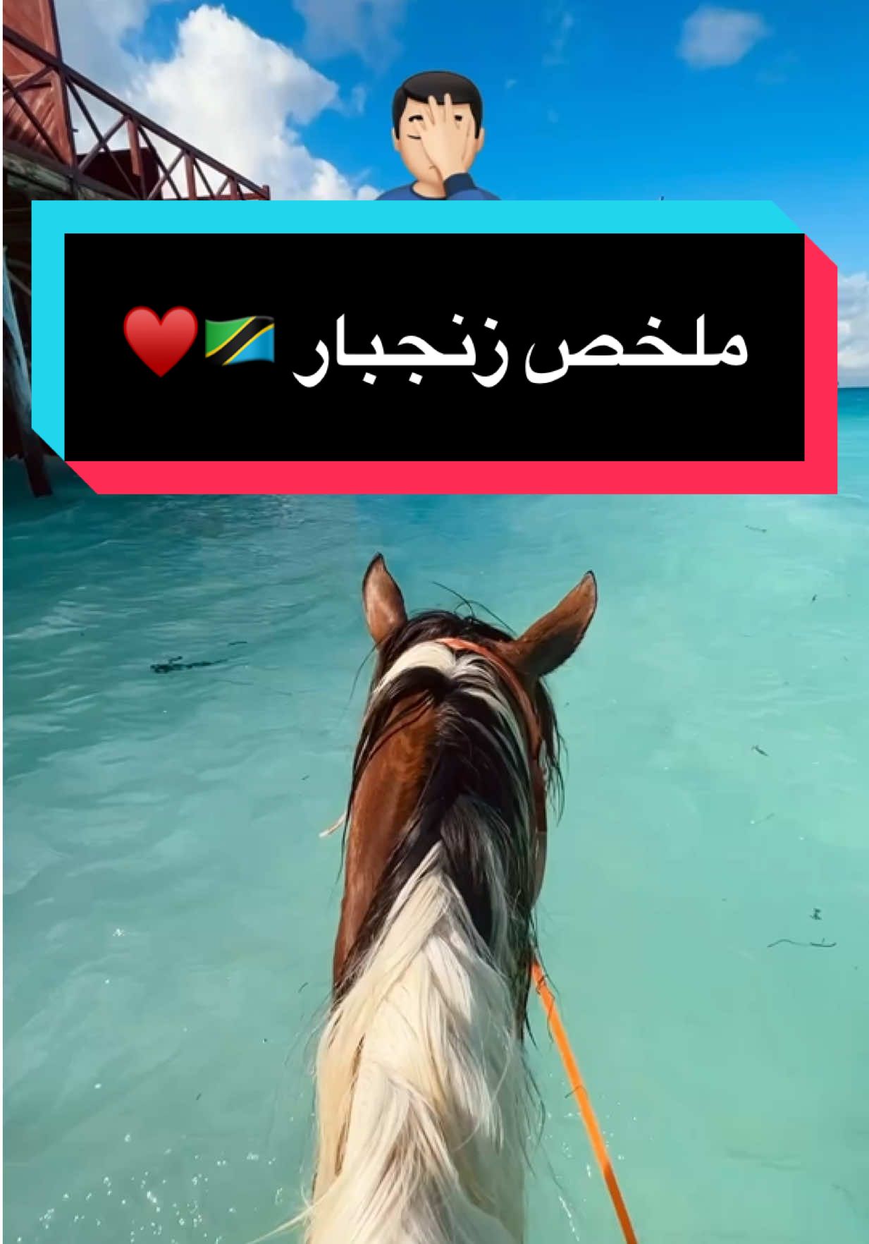 ملخص زنجبار تنزانيا 🇹🇿  #4u #kuwait #اغوى_كويتيين🇰🇼 #fypシ #explore #الشعب_الصيني_ماله_حل😂😂 #الكويت #اكسبلور #زنجبار #تنزانيا #سفر #سياحة #صيف 