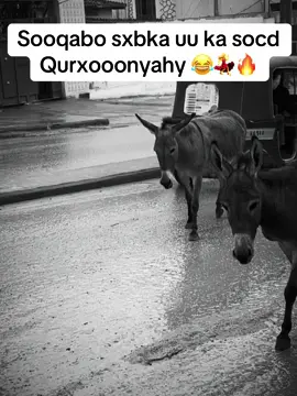 #Funk #FunkNoCapCut #Funk #fypシ゚ #foryoupage❤️❤️ #views_video #viewschallenge #viewsproblem💔😔 #fyyyyyyyyyyyyyyyyyyyyyyyyyyyyyyyyyy #foryoupage❤️❤️ #views #viewsproblem💔😔 #views_video #fppppppppppppppppppppppp❤️ 