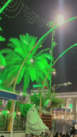 حسين غير نومتك خاطر نكدر نشبكك الشيخ سجاد الاسدي#سجادالاسدي #السلام_عليك_يااباعبد_الله_الحسين ##كربلائي❤️❤️تصويري #بين_الحرمين_كربلاء_المقدسه #احمدالكربلائي #كربلائي❤️❤️ #سجادالاسدي #كربلاء 
