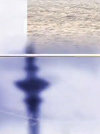 Malanowski i Partnerzy - Odcinek 562 #malanowski #malanowskiipartnerzy