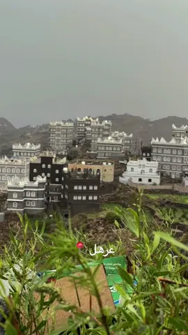 ليت سكات الليالي افهمتني 💛 يافع غير #يافع #يافع_الساحره_بجبالها #اكسبلور #ترند #عرهل #الشعب_الصيني_ماله_حل😂😂 #شيهون #عدن #صنعاء #حضرموت #شبوه#حوف #منظر #الرياض 