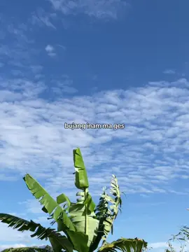 #CapCut#pascolmania #katakata #fyp #bataktiktok #storybatak #miyapascoll #foryou 