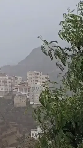 وصاب السافل بني سلمه ❤️