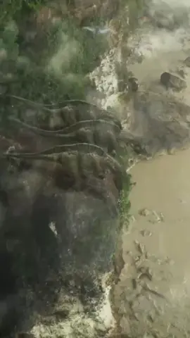 Астероид Чиксулуб, убийца динозавров. #динозавры #астероид #метеорит #наука #космос #апокалипсис #катаклизмы #интересное 