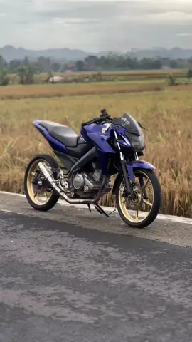 cintaku padamu #CapCut #pigsonbiru #fyp #fyppppppppppppppppppppppp #longarm #vixion 