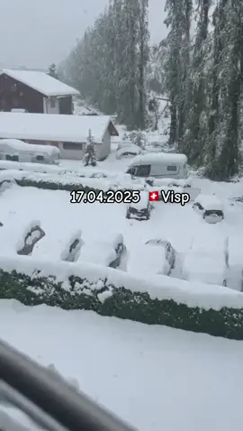 #schnee #visp #schweiz🇨🇭 #foryouu #fyp #snijeg 