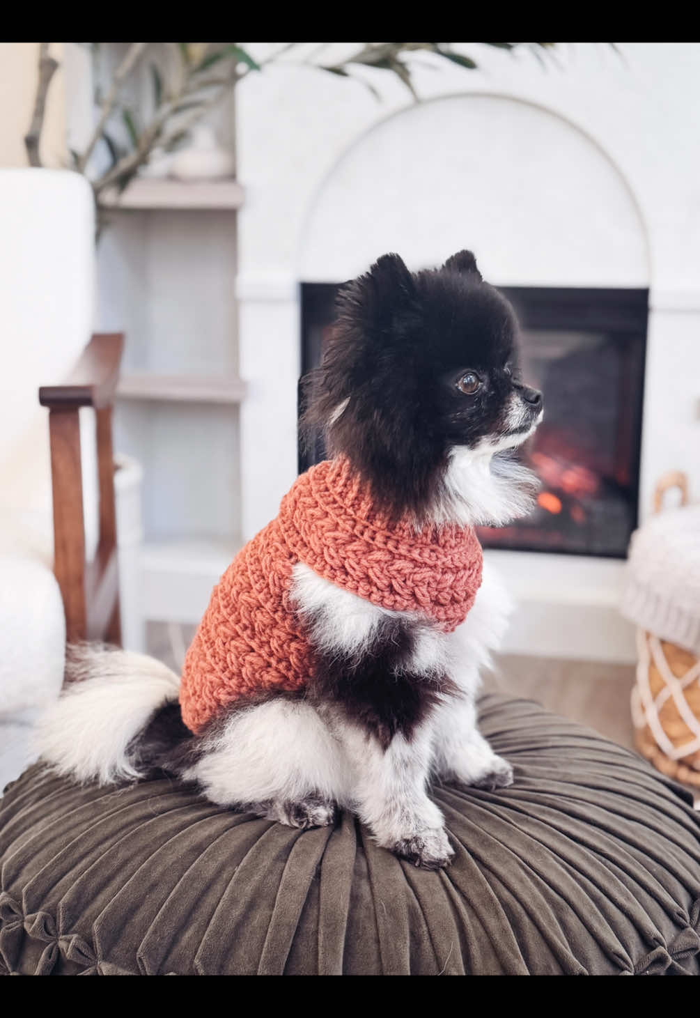 🐾✨ It's here!!! The Wheat Stitch Dog Sweater crochet pattern is officially unleashed! 🧶🐶  This top-down, one-piece design is cozy, stylish, and comes in 8 sizes—because every pup deserves to strut their stuff in handmade fashion! 💛 Whether your fur baby is a couch cuddler or a backyard explorer, this sweater is the perfect blend of comfy + cute. Plus, there’s a full video tutorial to guide you every step of the way! Tag a friend who crochets for their pup or needs to start! 🐕‍🦺  #DogSweaterGoals #CrochetDogSweater #WheatStitch #DogMomLife #CrochetAddict #HandmadePetStyle #BrianaKDesigns