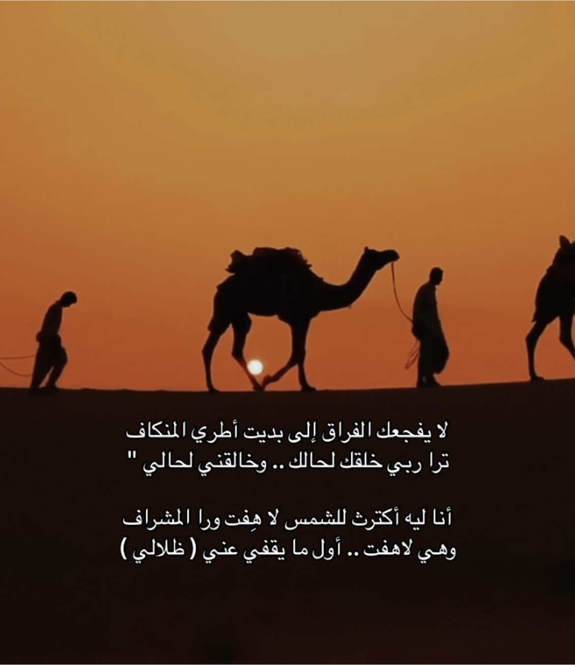 #صالح_النشيرا #شعر #قصيد #fyp 