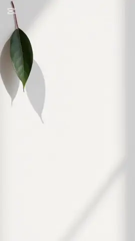 #سبحان_الله_وبحمده_سبحان_الله_العظيم 
