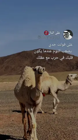 #على_قولت_جدي #عباراتكم_الفخمه📿📌 #على_البال #tiktok#fypシ #viral 