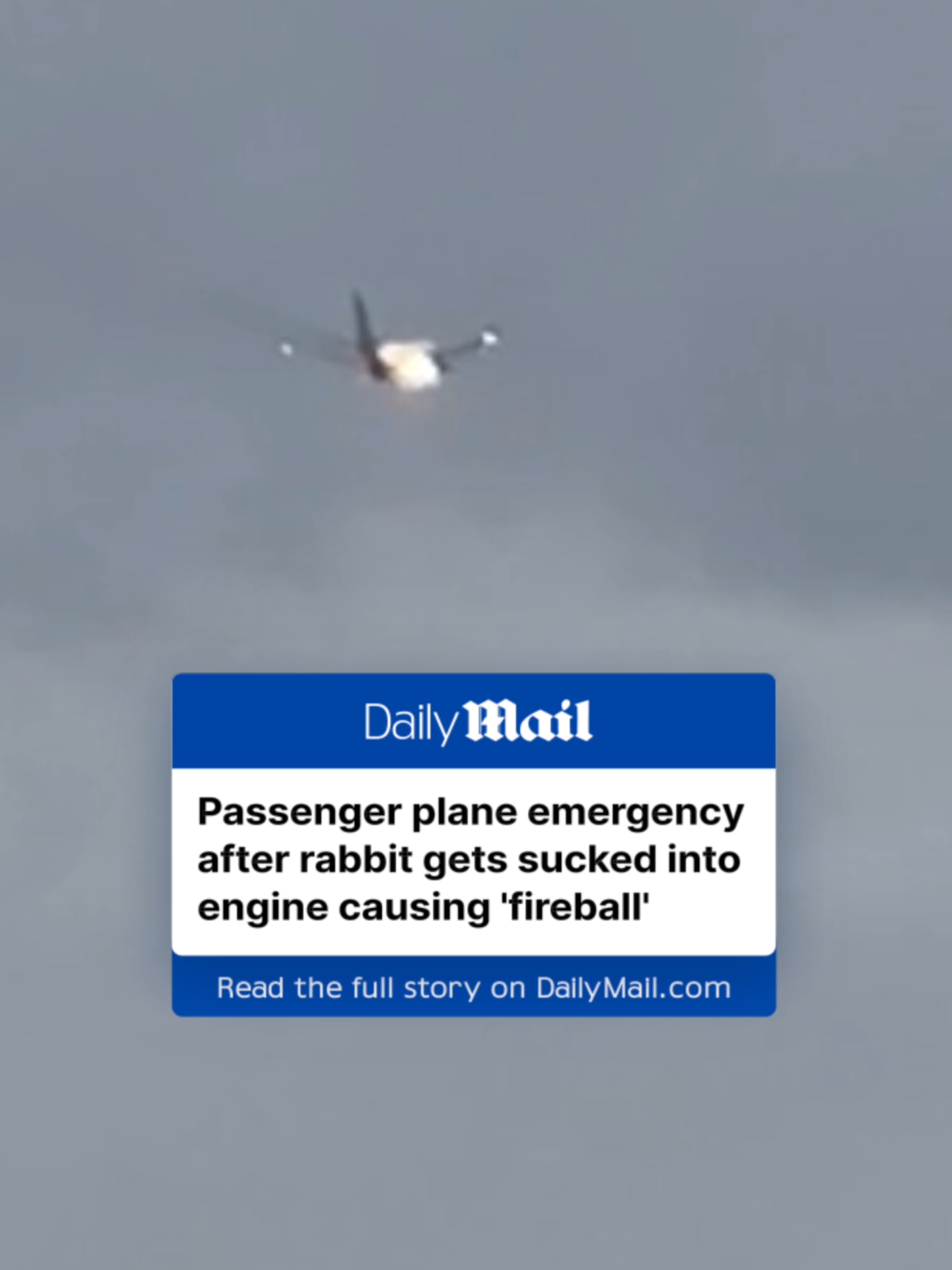 A United Airlines plane was forced to make an emergency landing after a rabbit got sucked into its engine, creating a 'fireball.' Passengers on the Edmonton, Canada-bound flight recalled hearing a 'loud bang' and feeling 'significant vibration' just after takeoff, but the aircraft continued to climb. 'Every few moments there was a backfire coming from the engine, a giant fireball behind it,' passenger Scott Wolff told ABC's Good Morning America. 'Everyone in the plane then started to panic.'  The Boeing 737 safely landed back at Denver Airport around 8.05pm local time.  Audio records from the flight deck revealed that after landing, the crew requested the plane to be inspected for an engine fire. They were told that a rabbit had been sucked into the engine.  Read more at DailyMail.com 🎥 Wyatt McCurry via Storyful #plane #flight #fire #rabbit #scary #passenger #boeing