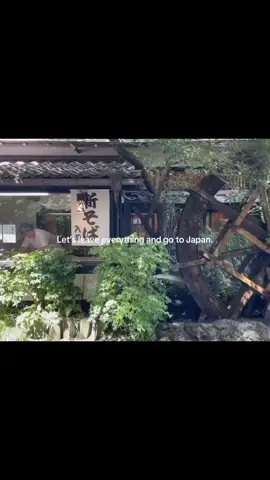 #japan #tokyo #kyoto #calm #japantiktok #fyp 