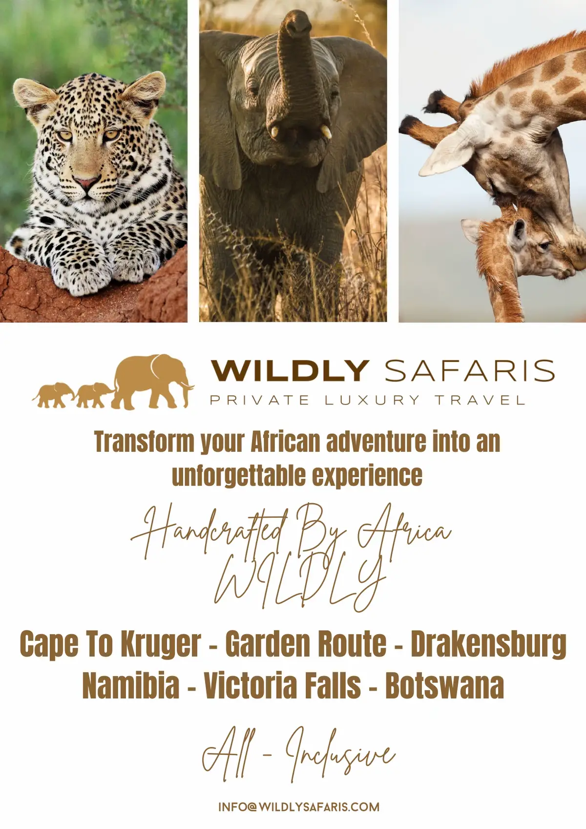 Join me on Safari in 2026 -  Fully Hosted, Fully Customizable, Fully Inclusive. Let's curate your African dream - info@wildlysafaris.com