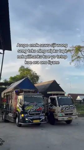 🥰#reyhansaja77 #bagusputra #trukstory #storytrukindonesia 