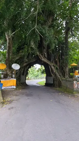 💥Siapa yang audah dan berani lewat diaini guys? #bunut #bunutbolong #bali #newyork #london #singapore #baliisland #fyppppppppppppppppppppppp #onbaliholiday 