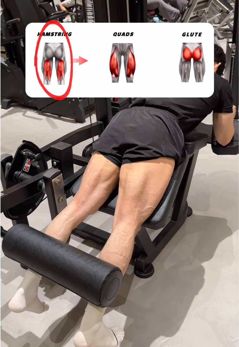 🔽헬린이 맞춤 하체 4가지 루틴🔽 ⠀ 1. 레그 컬 (Leg Curl) – 3×15reps 햄스트링(뒷허벅지)을 자극하며, 무릎을 굽혀 뒷허벅지를 집중적으로 강화하는 운동입니다. ⠀ 2. 레그 익스텐션 (Leg Extension) – 3×15reps 대퇴사두근(앞허벅지)을 고립 자극하며, 다리를 들어올려 앞허벅지를 강화합니다. ⠀ 3. 레그 프레스 (Leg Press) – 4×15reps 대퇴사두근, 둔근, 햄스트링을 함께 자극하며, 하체 전체를 중량으로 단련하는 머신 운동입니다. ⠀ 4. 스플릿 스쿼트 (Split Squat) – 4×15reps 대퇴사두근과 둔근을 주로 자극하며, 한 다리씩 균형 있게 하체를 강화하는 운동입니다 ⠀ #하체운동 #하체 #레그데이 #leg #legday #legworkout #glute #hamstring #운동영상 