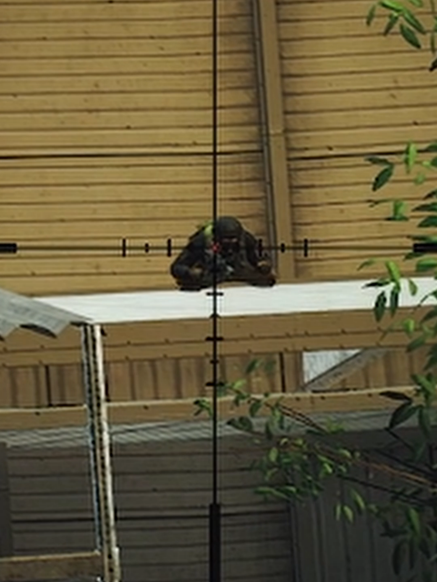 #escapefromtarkov #tarkov #eft