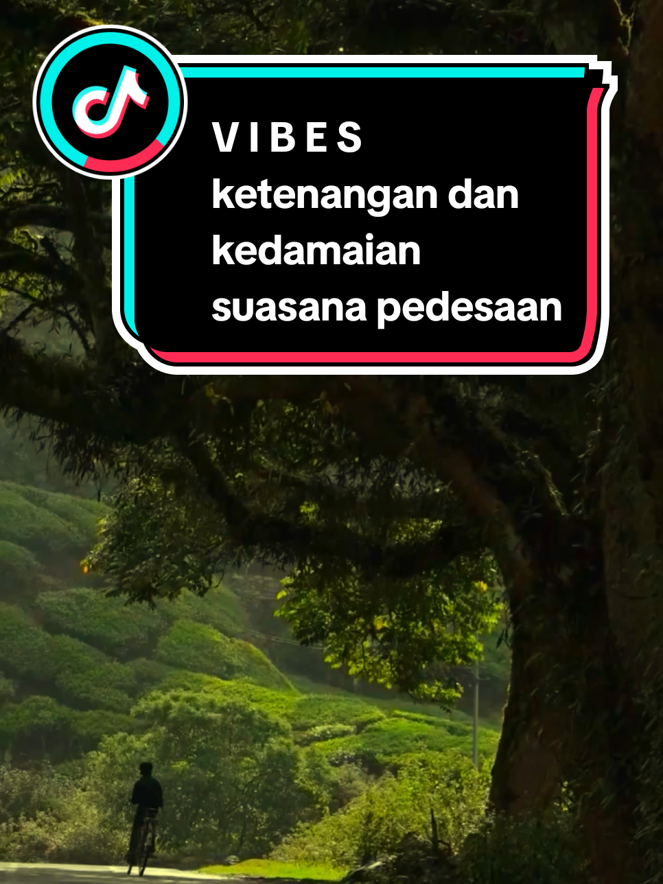 Kadang Yang Paling Kita Rindukan Bukanlah Tempat Yang Jauh, Tapi Rasa Tenang Yang Dulu Pernah Singgah. Bebas Dari Bisingnya Tuntutan, Lepas Dari Beban Yang Tak Terlihat, Pergi ke ruang sunyi Yang Memberi Arti Kebebasan Sejati Yang Berawal Dari Hati.😌 #vibes #nature #pemandanganalam #suasanaalam #keindahanalam #suasanapedesaan #suasanadikampung #pegunungan #sawah #pedesaan #perkampungan #kenanganmasalalu #kenangan #jamandulu #nostalgia #tenvibestory 