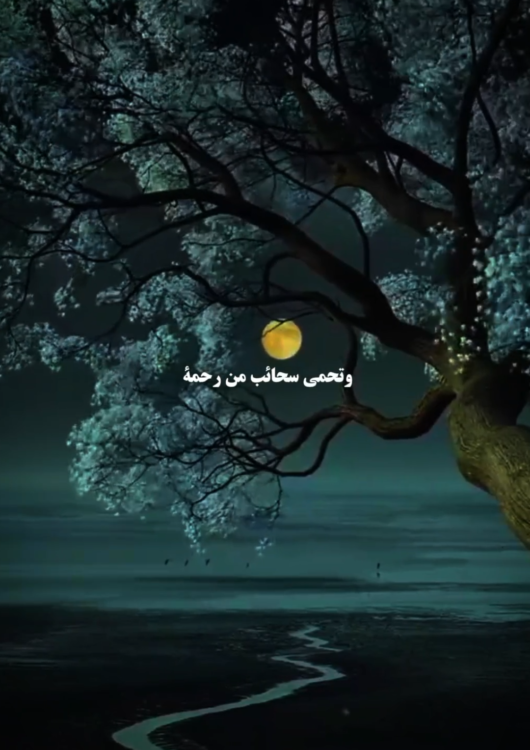 #foruyou #لأجلك_يارب_نسعى_بلا #fyp #videoviral 