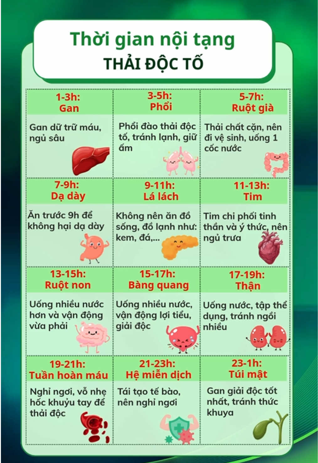 Thời gian nội tạng thải độc tố trong ngày. #thaidoc #thoigian #thaidocto #gan #phoi #suckhoe #songkhoe #chamsocsuckhoe #fyb #viral #xuhuong #qhspa #bamhuyettrilieu 