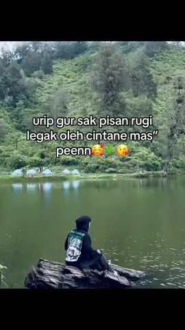 gak pengen nyoba a ? #pagarnusa86💚🔱 #pagarnusaindonesia #storypagarnusa #masukberanda #foryou 