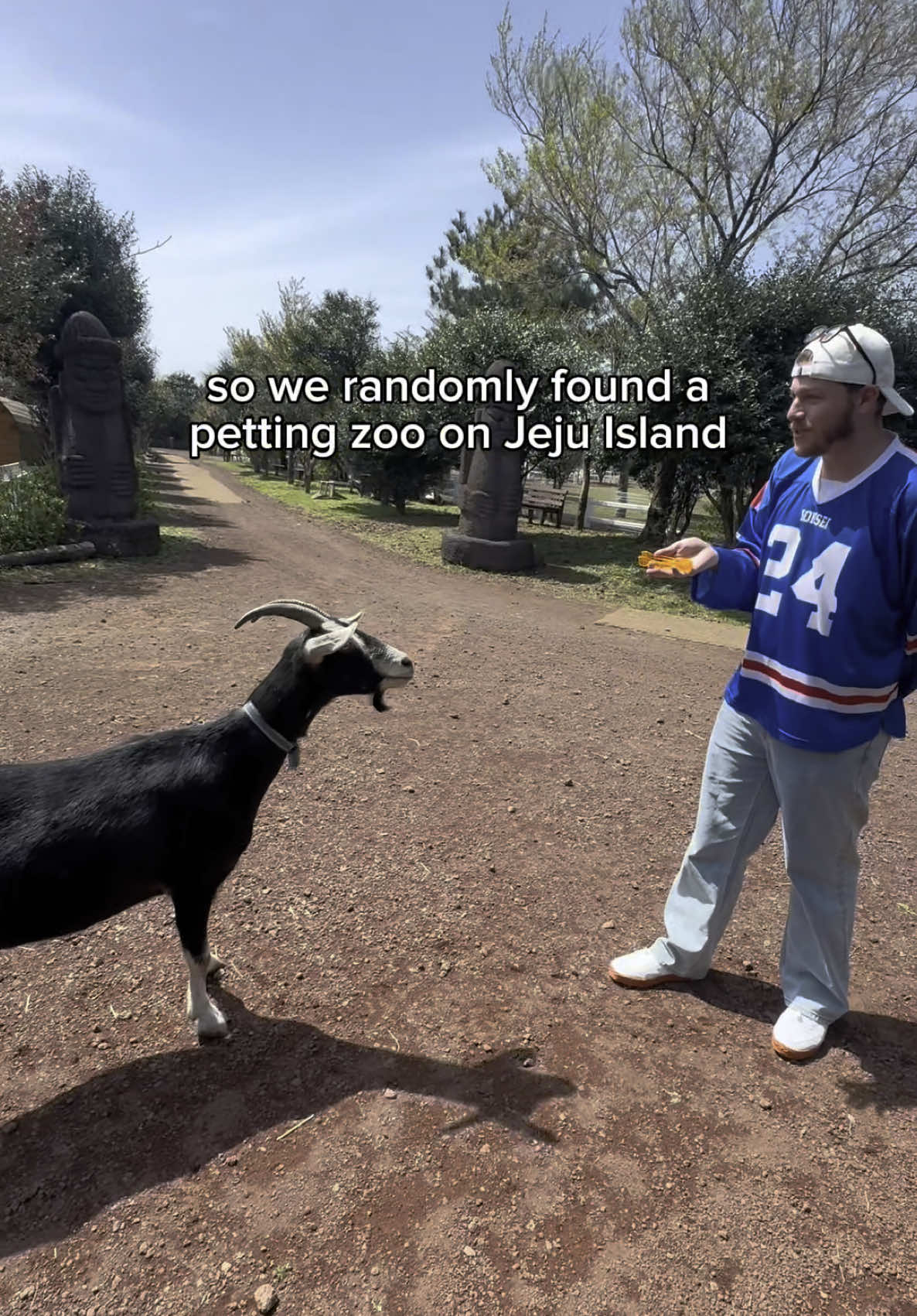 me and this goat have beef fr #jeju #jejuisland #korea #visitkorea #animals #farmlife 