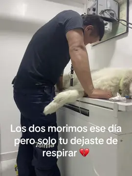 #perros #mejoresamigos#triste💔  porque tan rápido 😭