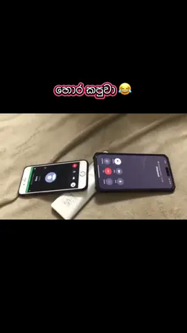 හොර කපුවා 😂 #kapumahaththaya #horakapuwo #kapuwo #hora #කපුවා #හොරකපුවා #කපුවා_left #කපුමහත්තයා #funnysrilanka #meme #sinhala #fyp 