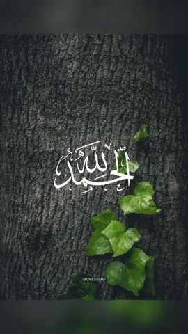 #ذكر_الله_شفاء_فضل_الله_عطاء🌹🌹  #سبحان_الله_وبحمده_سبحان_الله_العظيم #احسن_الظن_بالله🌹 سبحان الله والحمد لله ولا الاه الا الله والله اكبر ولا حول ولا قوة الا بالله العلي العظيم 🌸💮