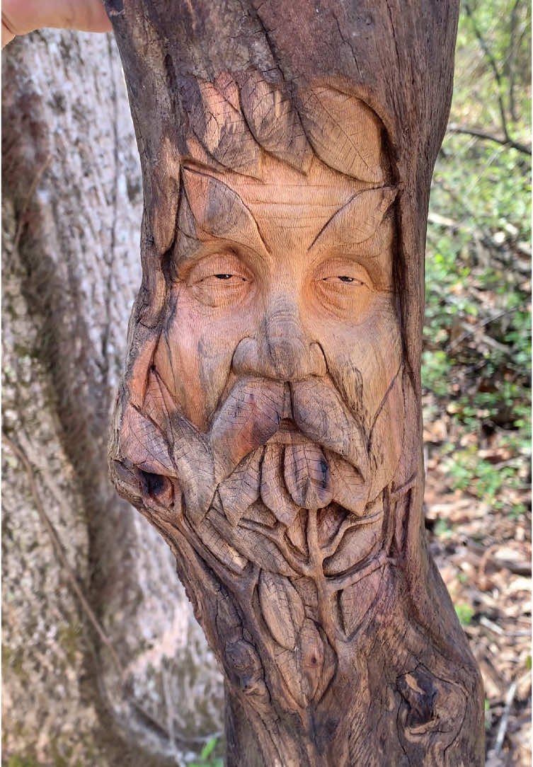 Green Man buyback #greenman#nature#artistsoftiktok#woodcarving 