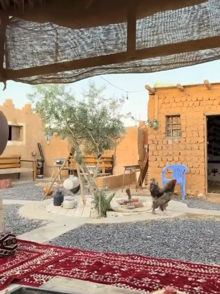 أجمل حياة لما كانت البيوت من وحل والنفوس من ذهب.. #nature #ريف_دير_الزور_الشرقي #naturalhair #alfrat13 #أيام_الزمن_الجميل 