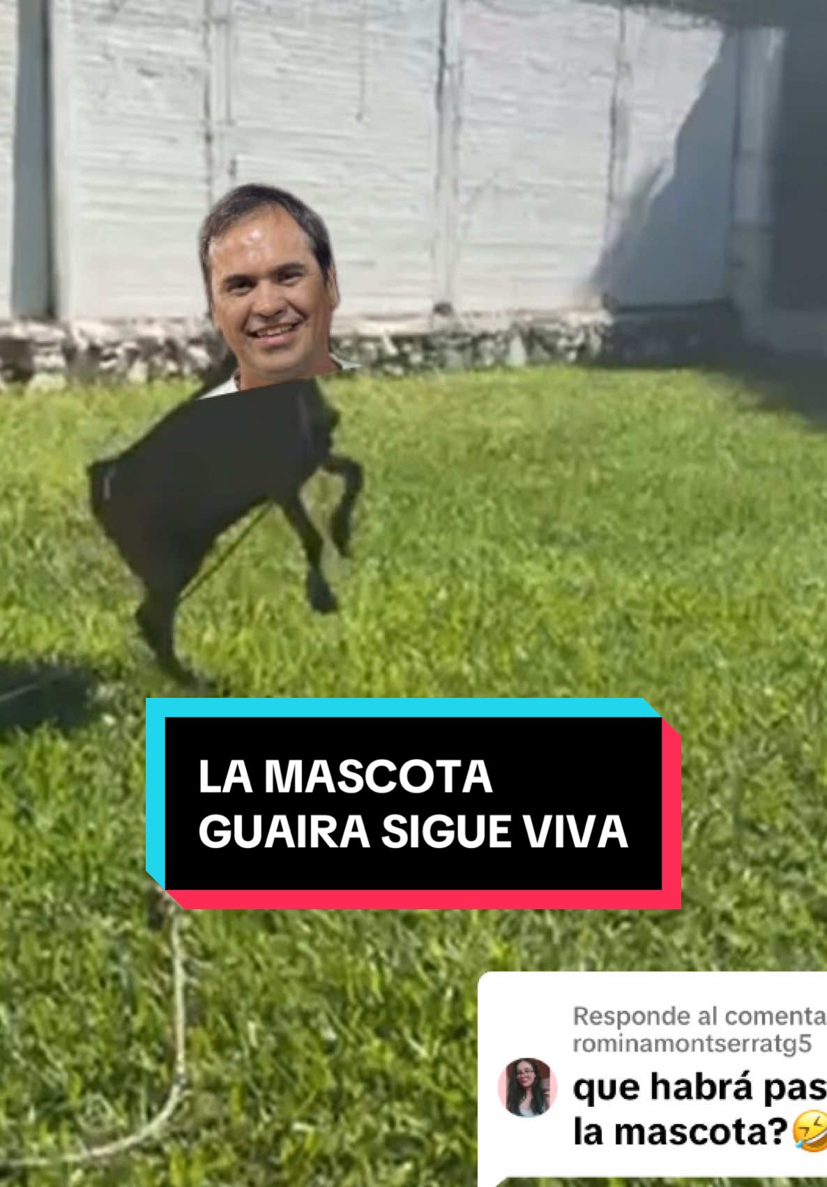 Respuesta a @rominamontserratg5 para los que preguntaba que había pasado de la Cabra , nuestra mascota , aquí ven que sigue más viva que nunca  . #guairapisossanitarios #humoreneltrabajo #humor #cabra