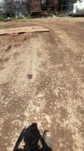 #fyp 