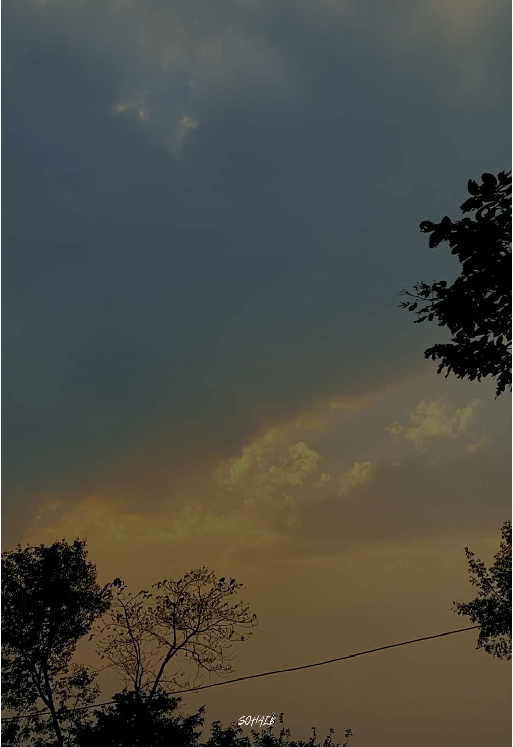 The beauty of nature….💫❤️‍🩹 #foryou #viralvideo #aikarielbees #naturevibes #tiktokpakistan #asthectic #trending @𝘴𝘰𝘦𝘴_𝘵𝘩𝘦𝘵𝘪𝘤 