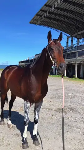 Jaga kesehatan ya kesayangan Kita akan bertarung dengan aksi gila selanjutnya  #rtn #rajatampanama 