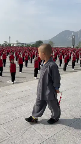 中国功夫十八般武艺每天更新 #martialarts #JackieChan#Chinese Kung Fu#kungfu