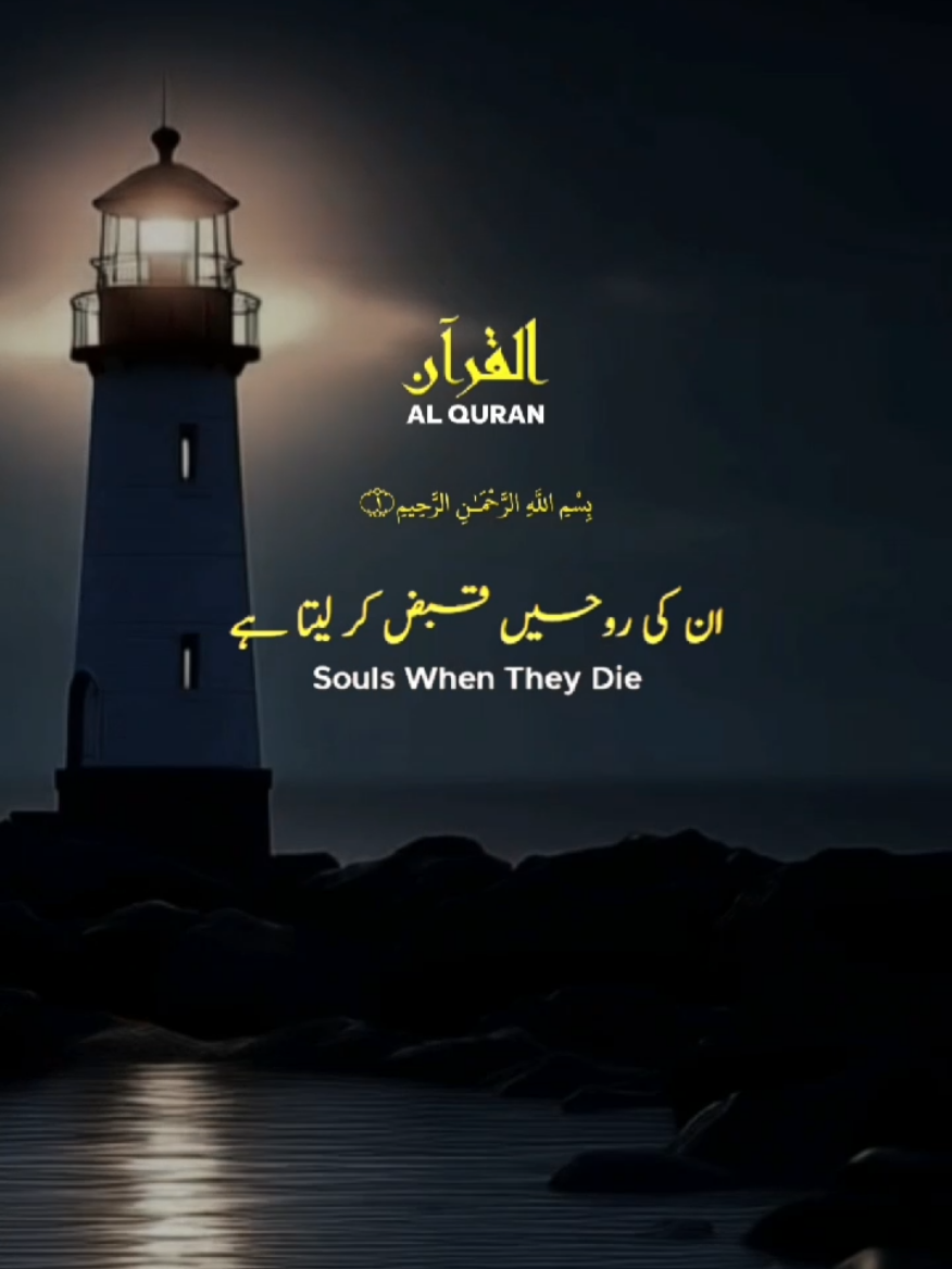 Surah Al Isra, Verse:36 Surah Al Imran, verse: 145 Surah Al Zumar, verses:41-43♥️💫 #quran_recitation_143 #peace #sound #nasheed #quran 