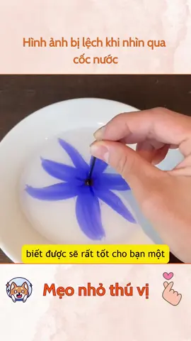 Hình ảnh bị lệch khi nhìn qua cốc nước #meonhothuvi #meovat #meovatcuocsong 