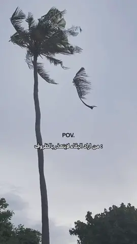 هذا اليوم هذا اليوم #في هذا اليوم #pov #foryoupage #foryoupage #foryoup #foryou #viral #استوريات #هشتاق #اكسبلور #عبارات #اقتباسات 