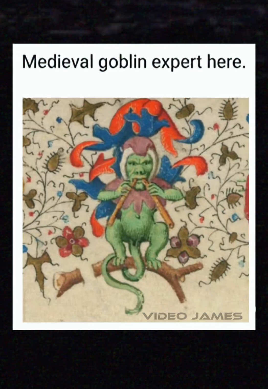 A fine specimen    🎵federkleid - faun   #fyp #fypシ #meme #goblin #voiceover #voiceactor #memes #relatable #mood #asmr #vibes #real #vo #va #medieval #magic #fantasy 