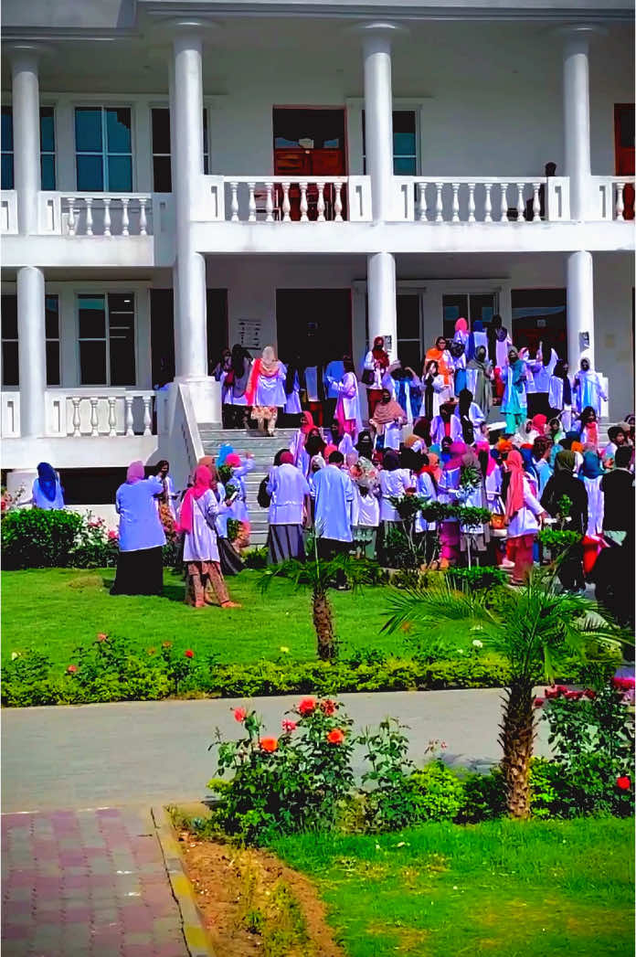 #1millionlikesthankstiktokteam💥😍 #UoH💞💞💞💞💞💞💞💞 #universityofharipur #uoh #foryoupage #1millionlikesthankstiktokteam💥😍 #universityofharipur #UoH💞💞💞💞💞💞💞💞 #uoh #UOH 