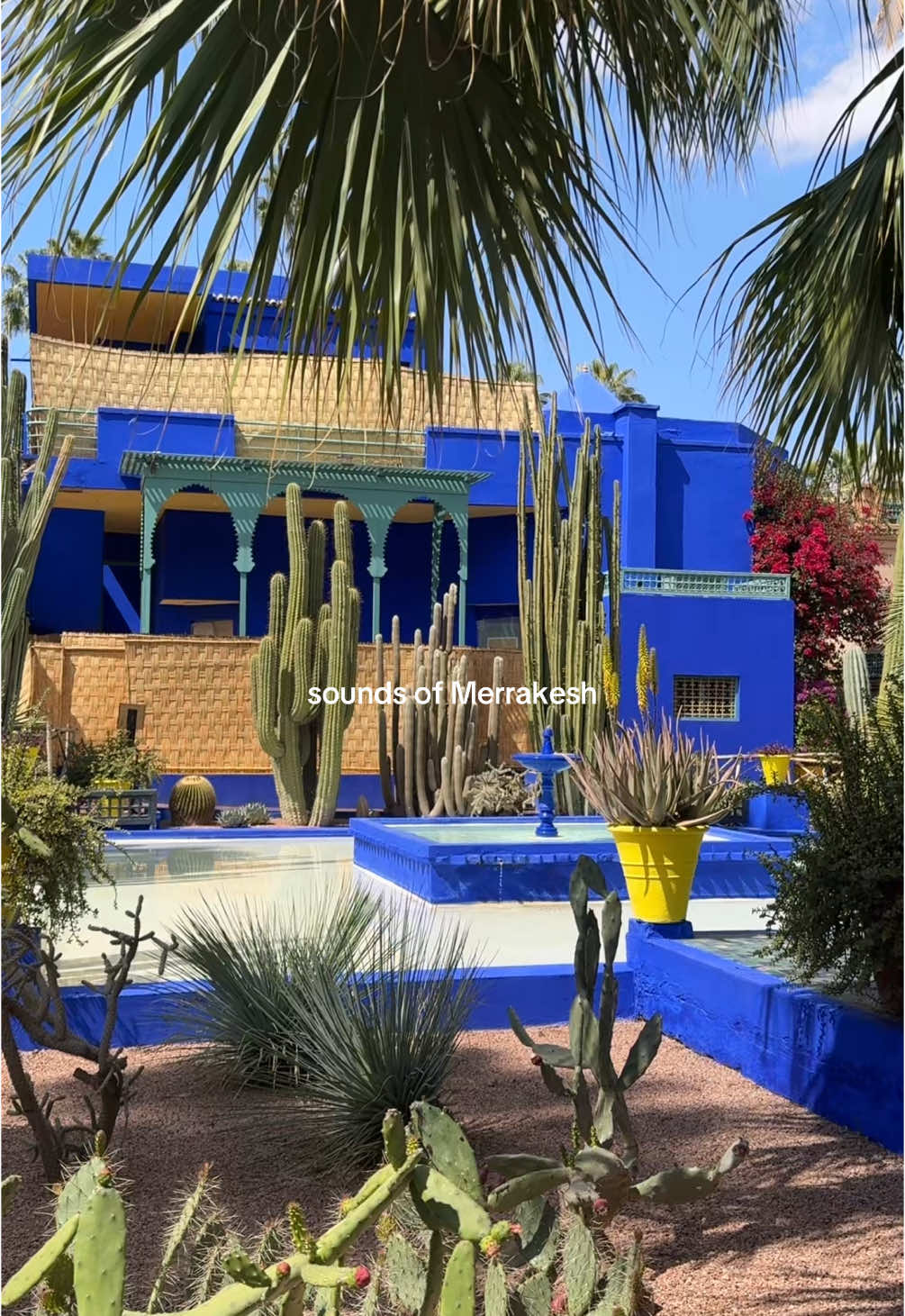 🩵🕊️ #fyp #merrakech @Royal Mansour Marrakech 