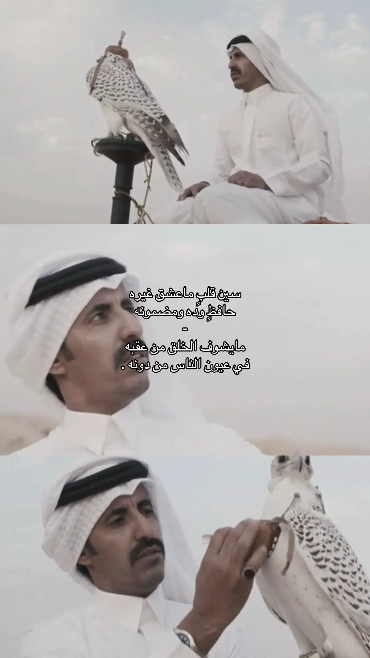 #هادي_بن_جابر #قطر #السعودية #CapCut #اكسبلورexplore #4u #صالح_آل_مانعه #اكسبلور 