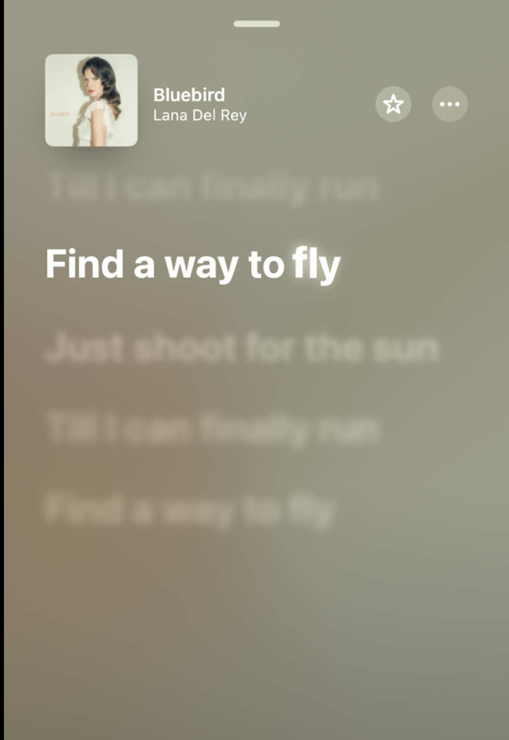 blue bird - lana del rey #lanadelrey #bluebird #lyrics #henrycomeon #fyp bluebird lana del rey new song